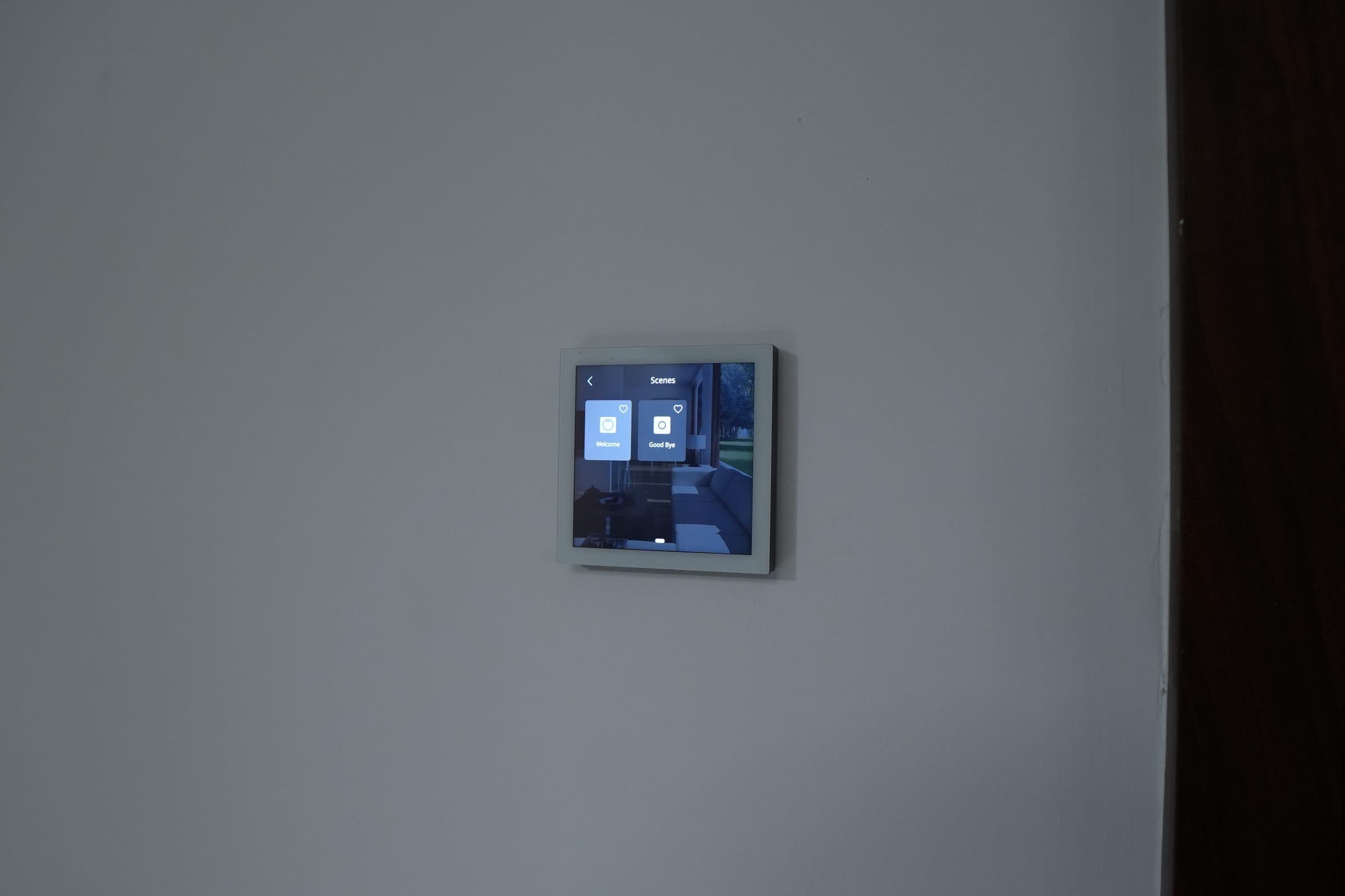 Customization and integration for a private cinema